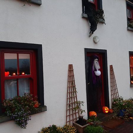 Nellys Bed And Bikes Hotel Westport Luaran gambar