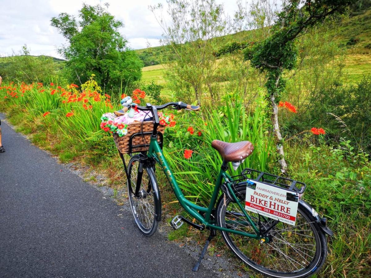 Nellys Bed And Bikes Hotel Westport Luaran gambar