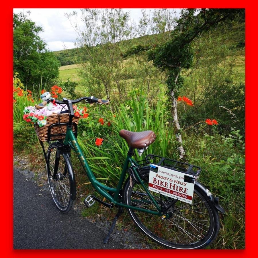 Nellys Bed And Bikes Hotel Westport Luaran gambar