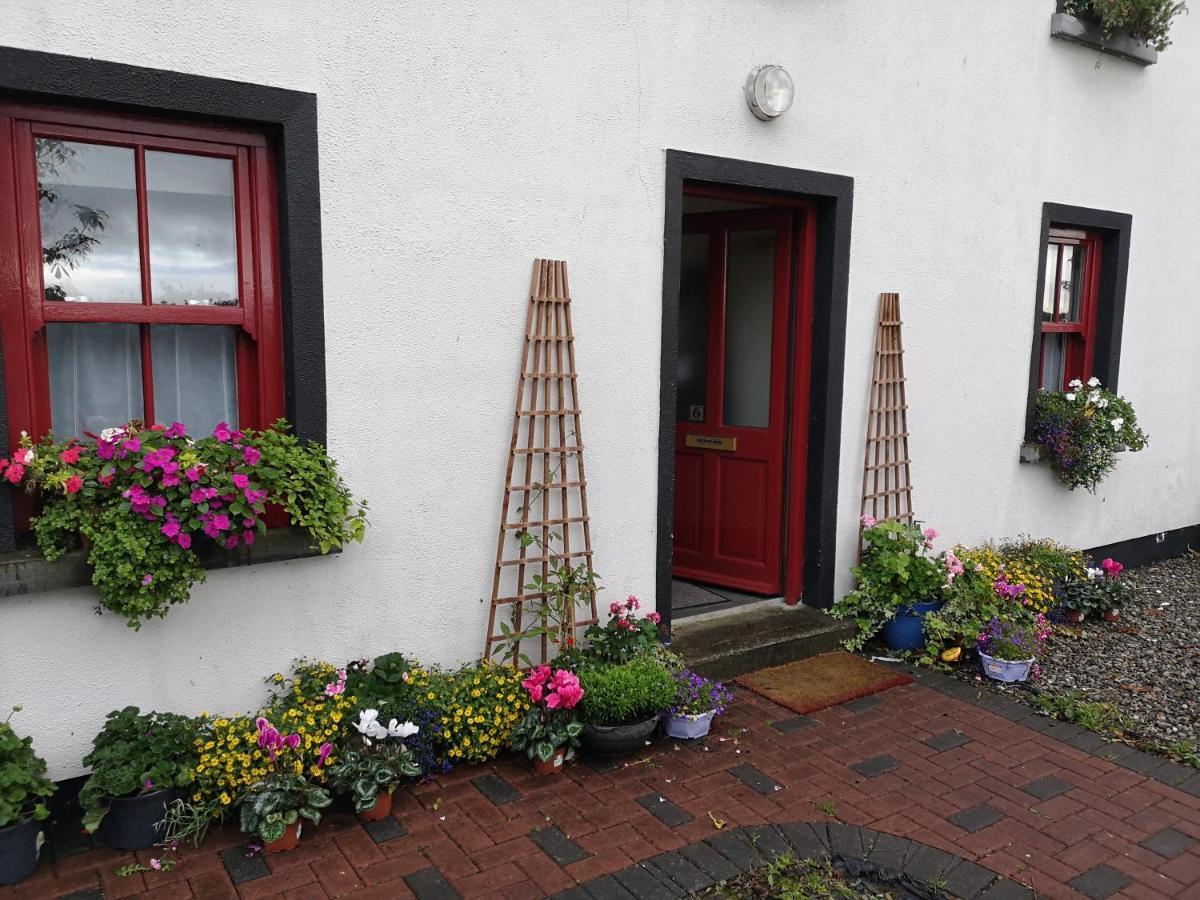 Nellys Bed And Bikes Hotel Westport Luaran gambar